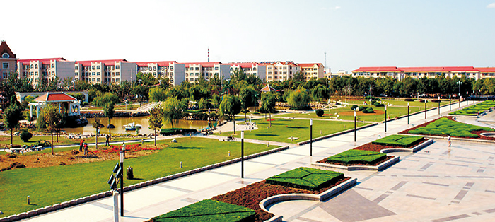 黃驊市南排河鎮(zhèn)趙家堡、賈家堡村民聯(lián)建工程